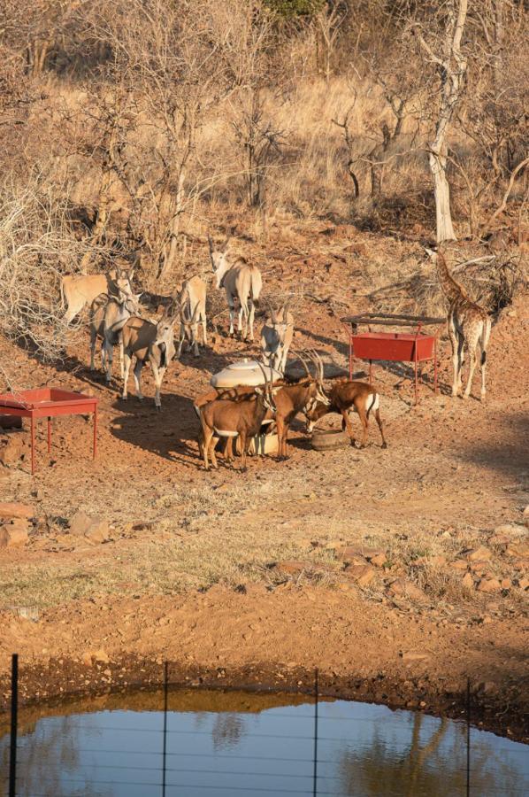 Tholo Manzi Private Game Farm Villa Zeerust Exterior photo