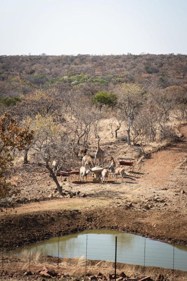 Tholo Manzi Private Game Farm Villa Zeerust Exterior photo