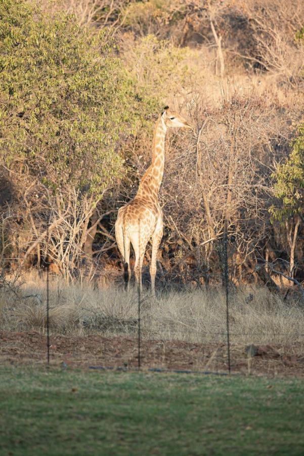 Tholo Manzi Private Game Farm Villa Zeerust Exterior photo