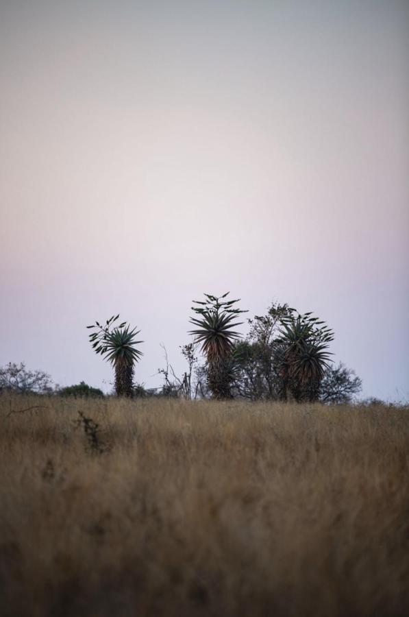 Tholo Manzi Private Game Farm Villa Zeerust Exterior photo